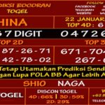 prediksi-virdsam-china-22-januari-2021-alexistogel