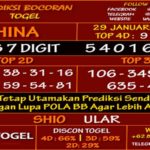 prediksi-virdsam-china-29-januari-2021-alexistogel