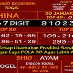 prediksi-virdsam-china-30-januari-2021-alexistogel