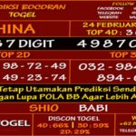 prediksi-virdsam-china24-februari-alexistogel