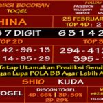 prediksi-virdsam-china25-februari-alexistogel